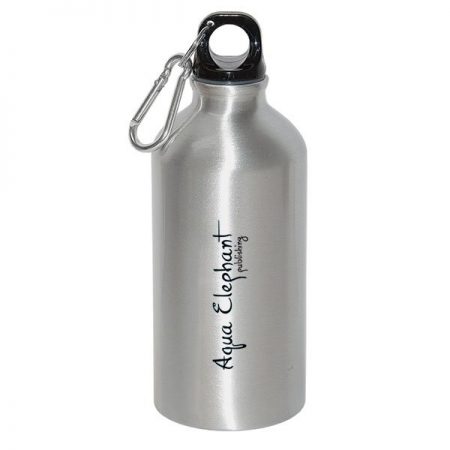 Aluminum Water Bottle w/ Carabiner - 17 oz.