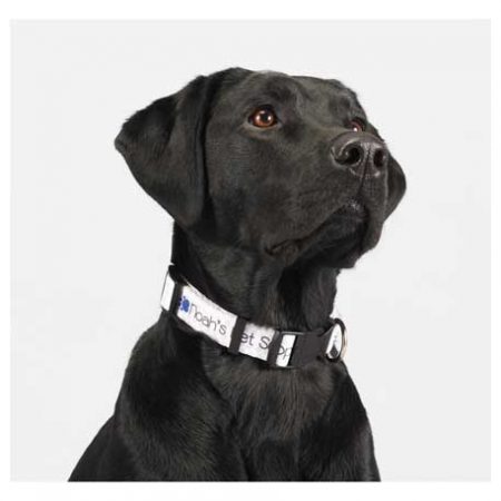 Promotional Dog Collar - 1"